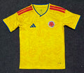 Colombia 2026 - Local - Fan