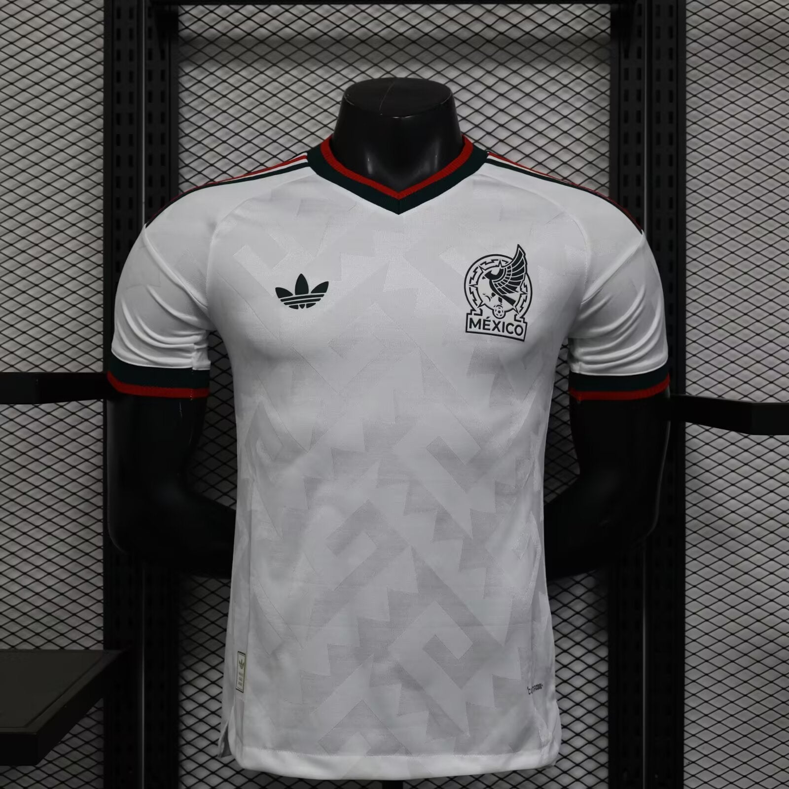 México 2026 - Visita - Jugador