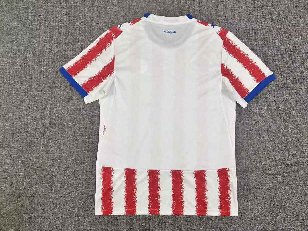 Paraguay 2026 - Local - Fan