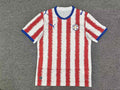 Paraguay 2026 - Local - Fan
