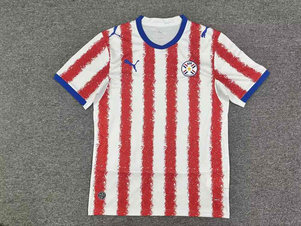 Paraguay 2026 - Local - Fan