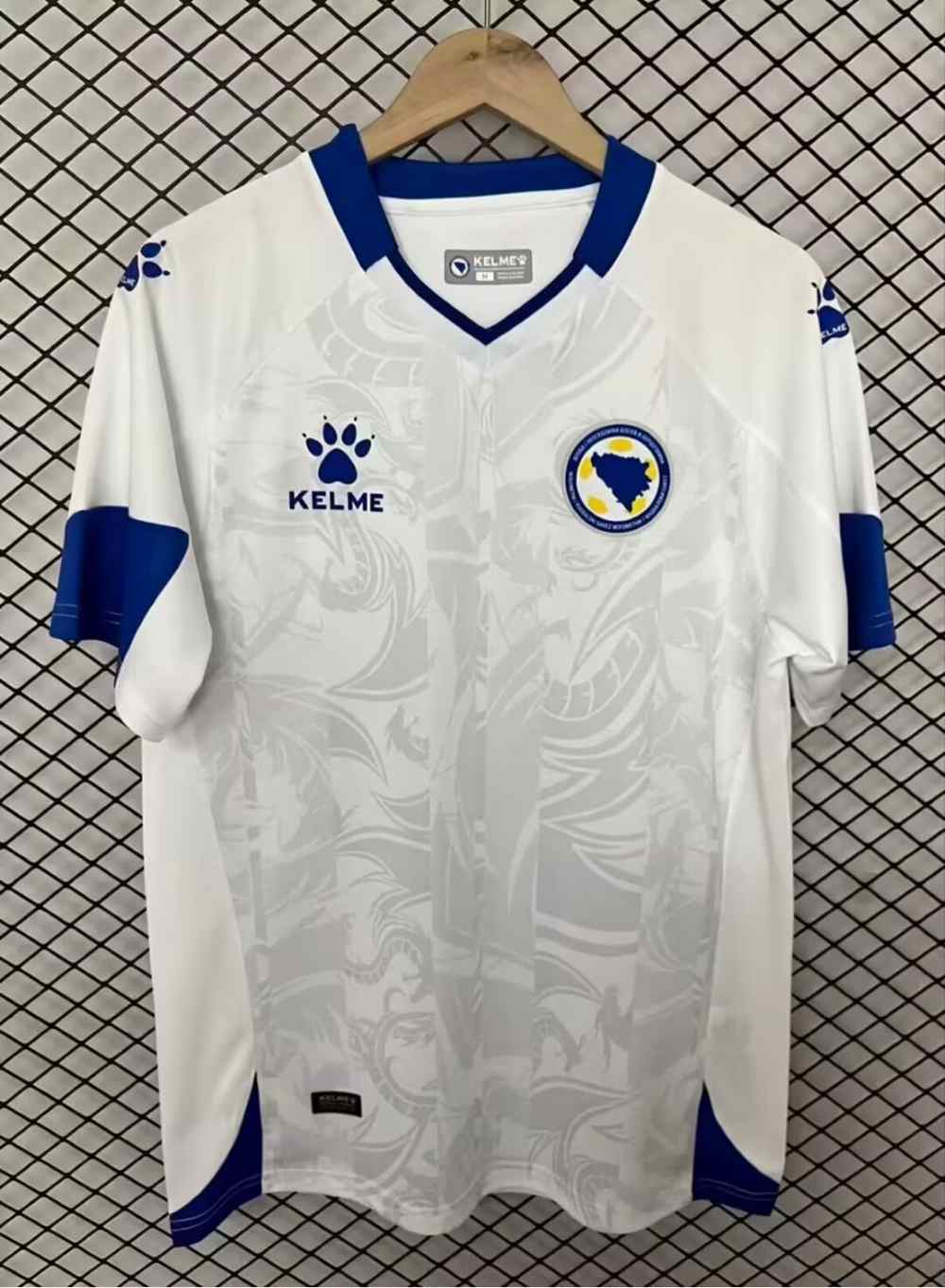 Bosnia y Herzegovina 2026 - Visita - Fan