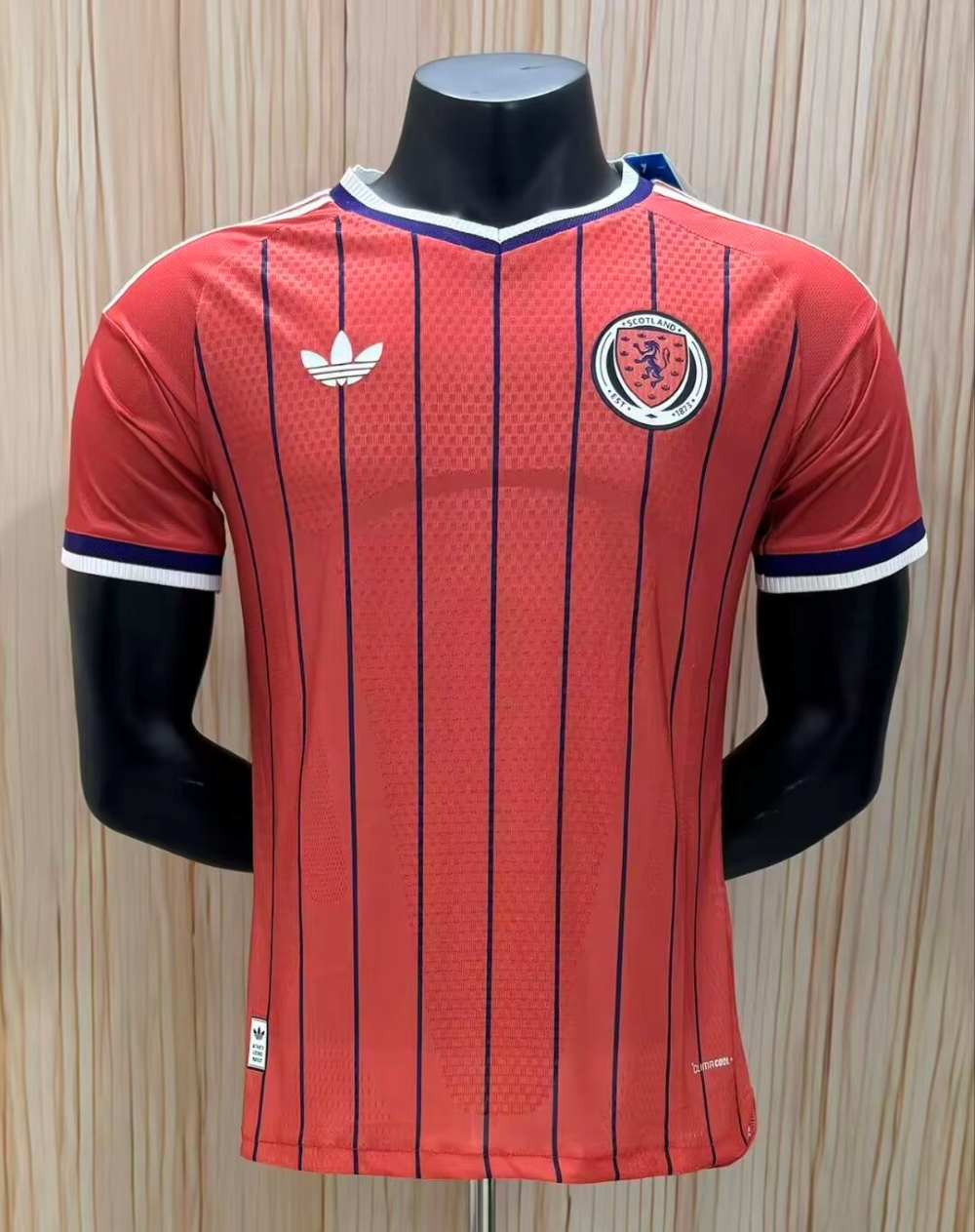 Escocia 2026 - Visita - Jugador