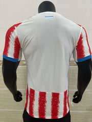 Paraguay 2026 - Local - Jugador