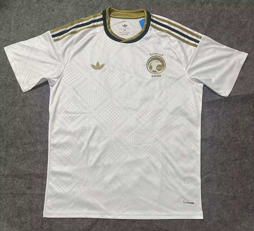 Arabia Saudita 2026 - Visita - Fan