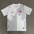 Canadá 2026 - Tercera - Fan