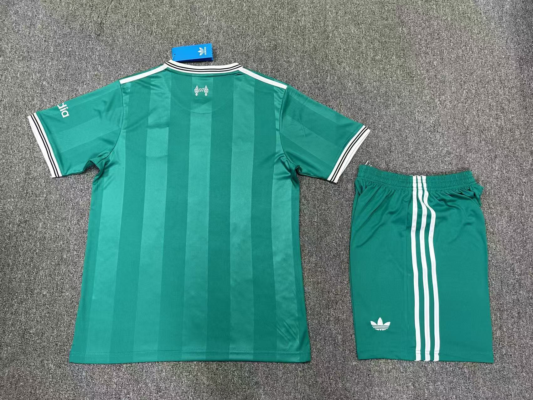 Liverpool Tercero Short Verde - Uniforme