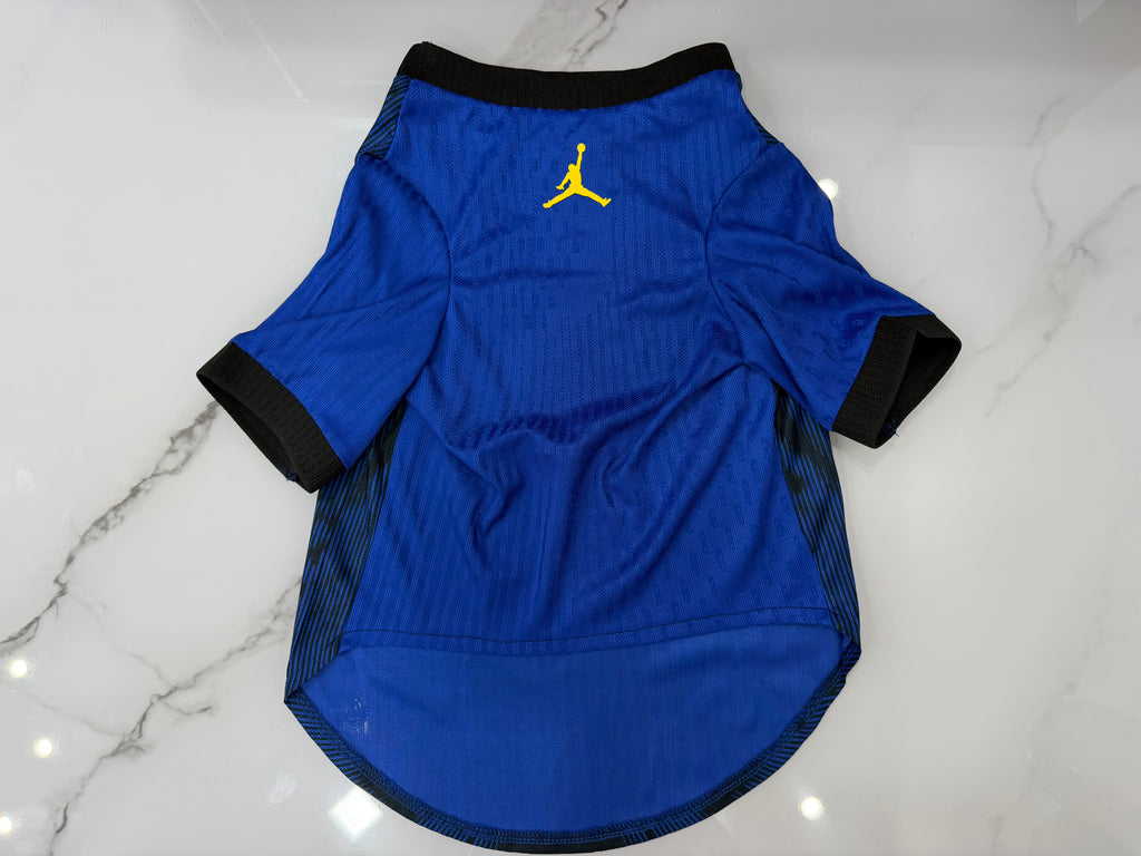 Jersey Mascota Brasil Visita 2026