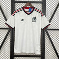 México 2026 - Visita - Fan