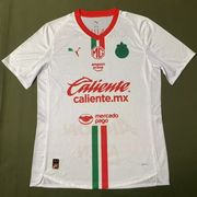 Chivas 25/26 - Visita - Fan
