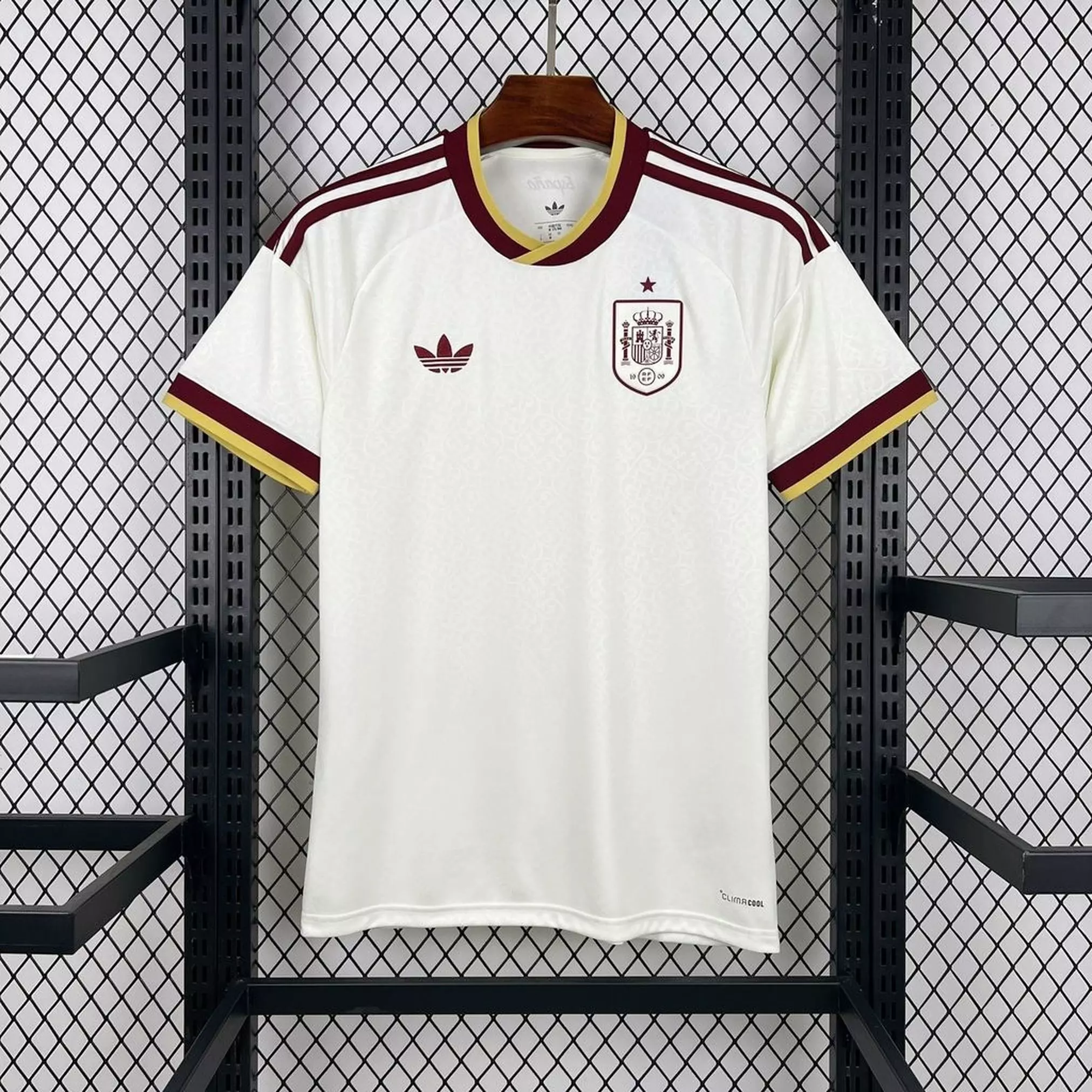España 2026 - Visita - Fan
