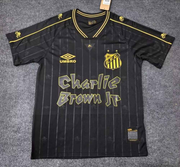 Santos 2024 - Edición Especial - Fan